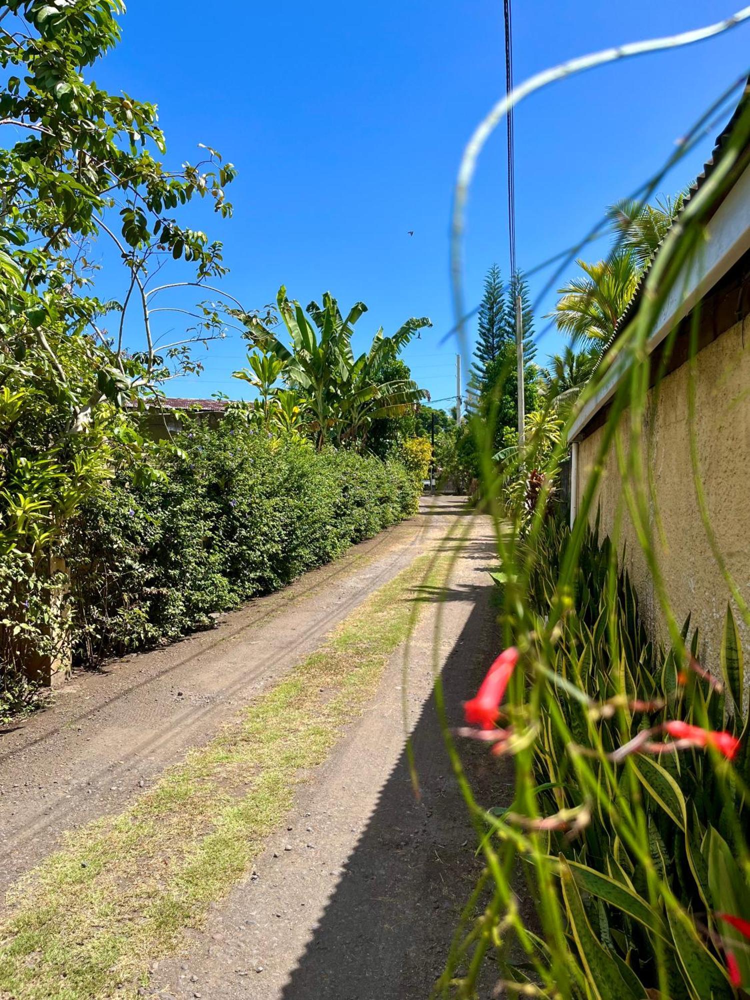 Tiaki Guesthouse - Cozy Modern Studio - 5Min Drive From The Beach And Punaauia Center Экстерьер фото